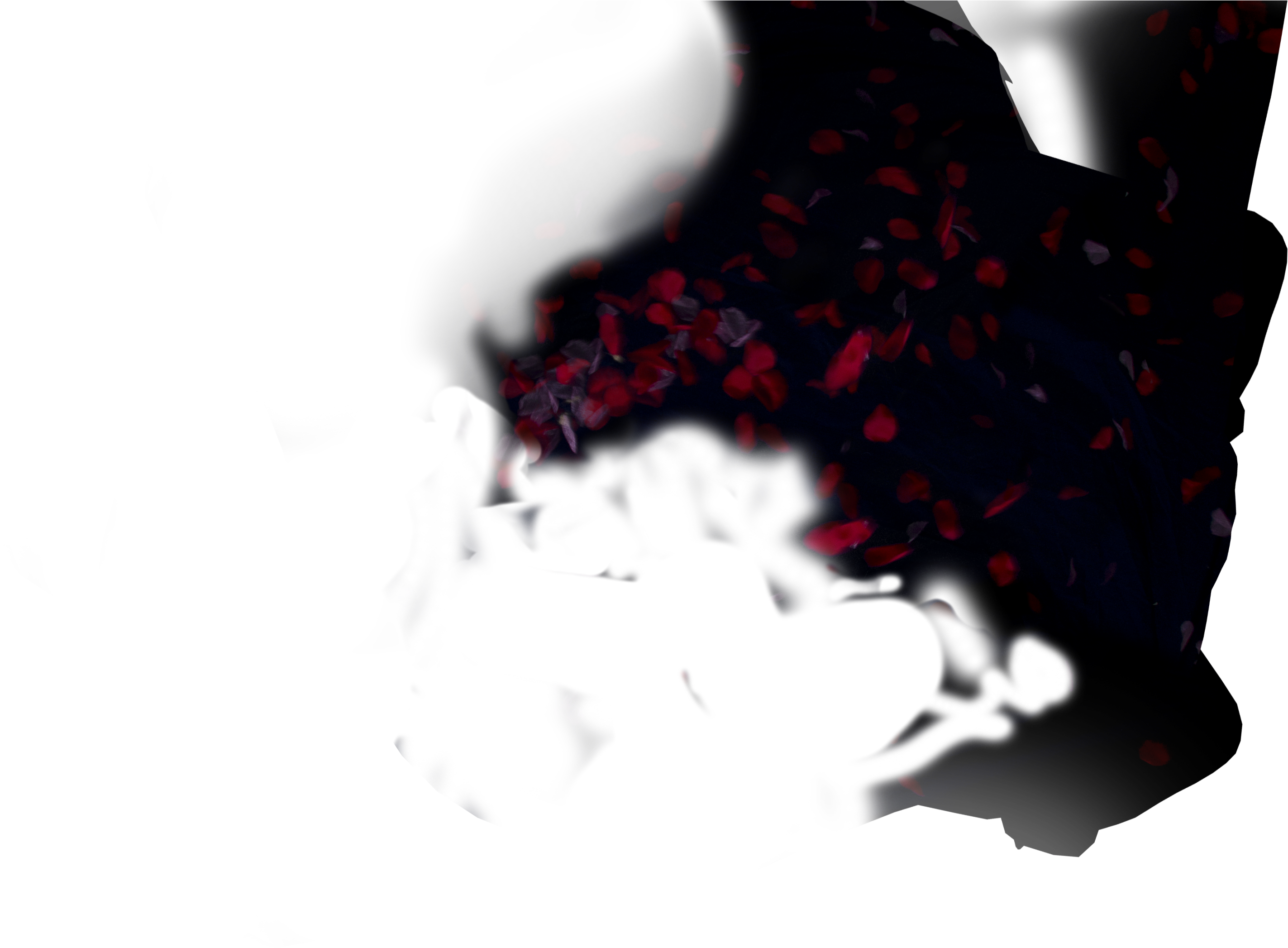 Layers Photography Black Rose - Photography (4277x2851), Png Download
