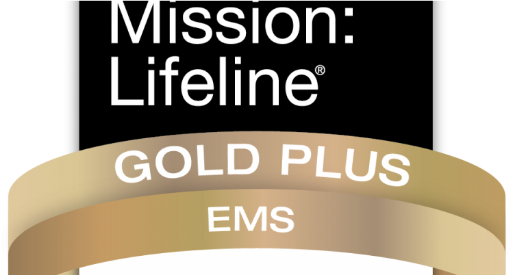 Mission Lifeline Gold Plus Ems Award 2017 - Boss Life: Surviving My Own Small Business [book] (960x401), Png Download