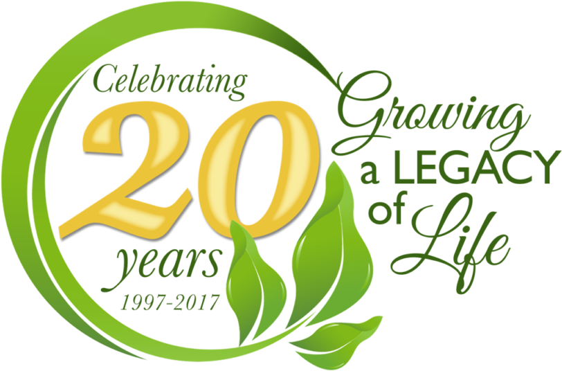 Your Owner's Manual For Life (1024x731), Png Download