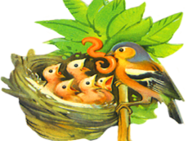 Bird Nest (640x480), Png Download