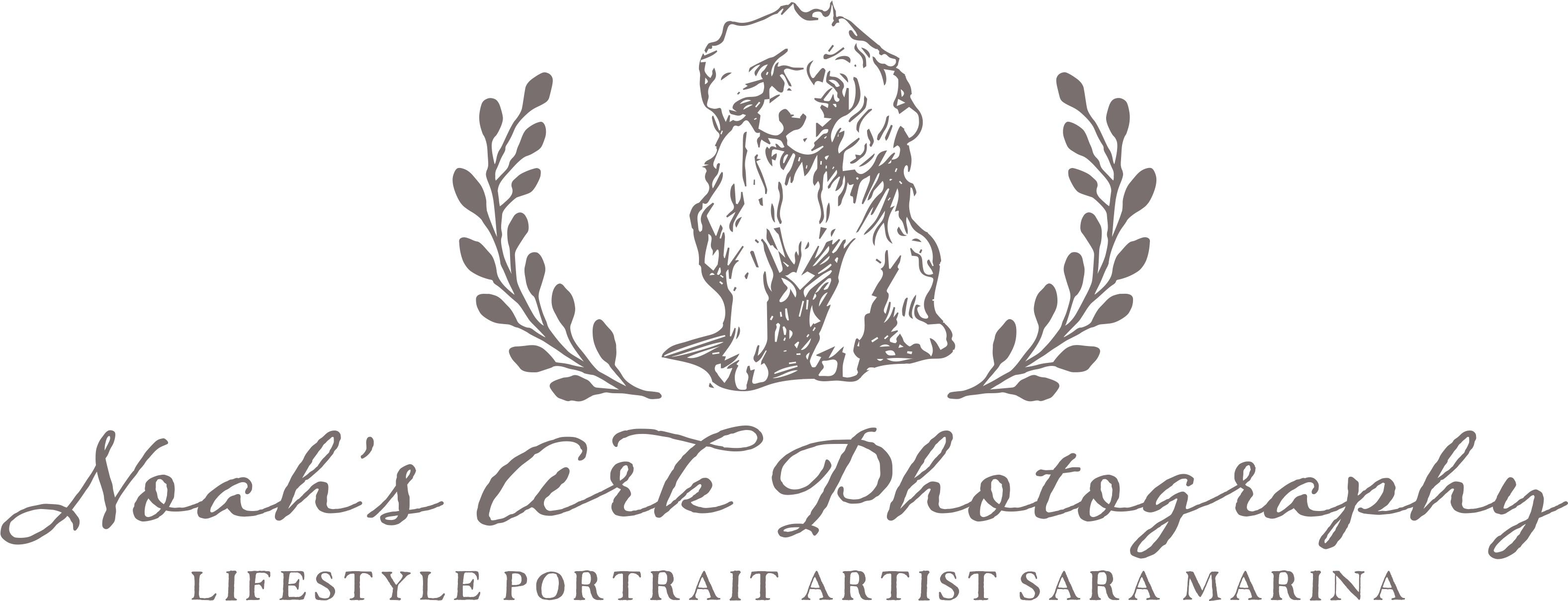 Noah's Ark Photography - Stilvolle Orange Brown- U. Visitenkarte (3270x1380), Png Download