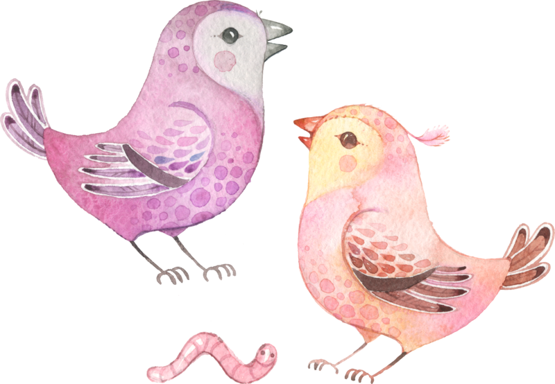 Animaux - 唯美 圖案 (800x554), Png Download