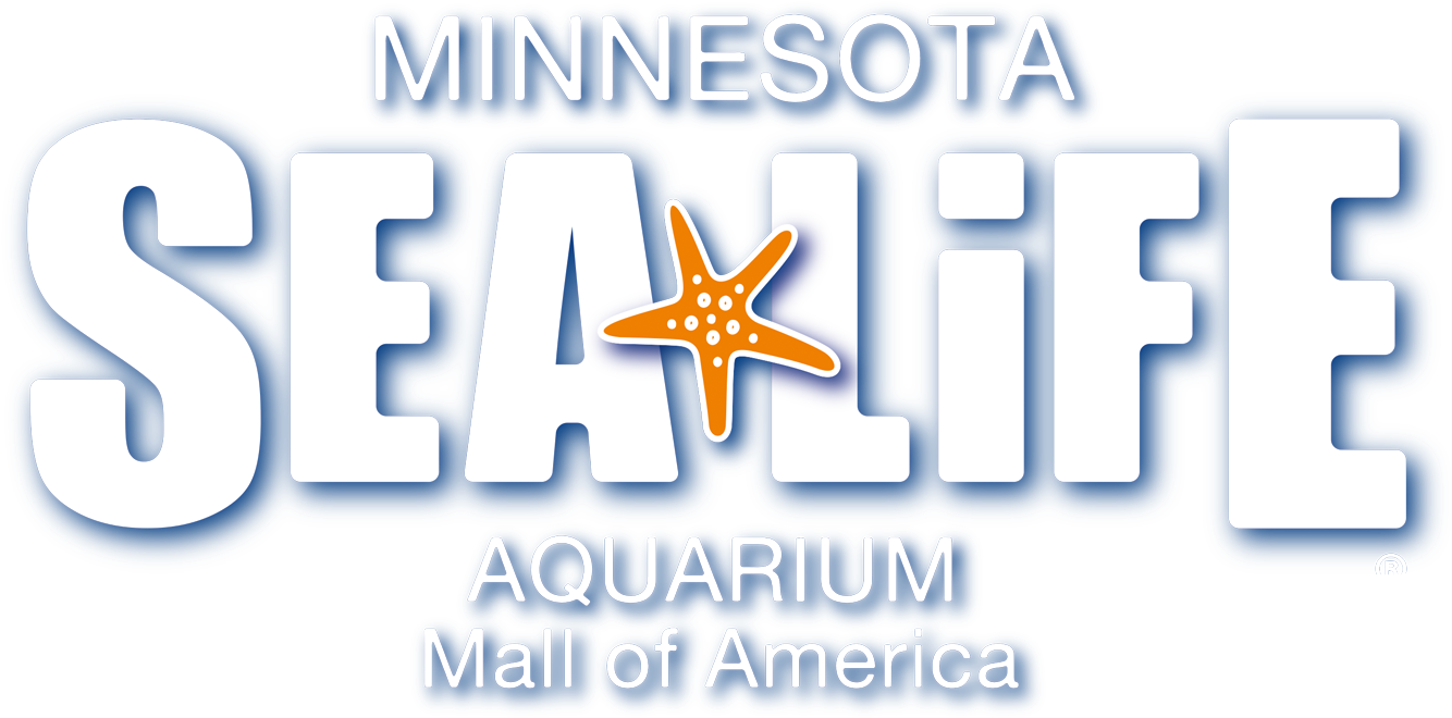 Jabber Logic Sea Life Aquarium Case Study - Sea Life Aquarium Poster (1876x891), Png Download