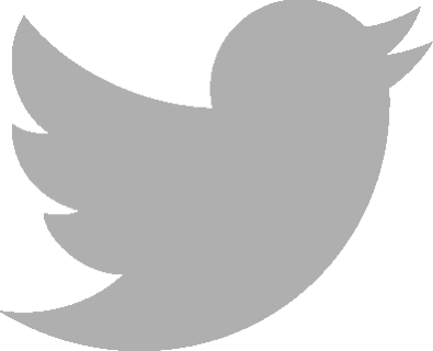 Twitter Logo Png White Download - Twitter Logo Grau Png (395x320), Png Download