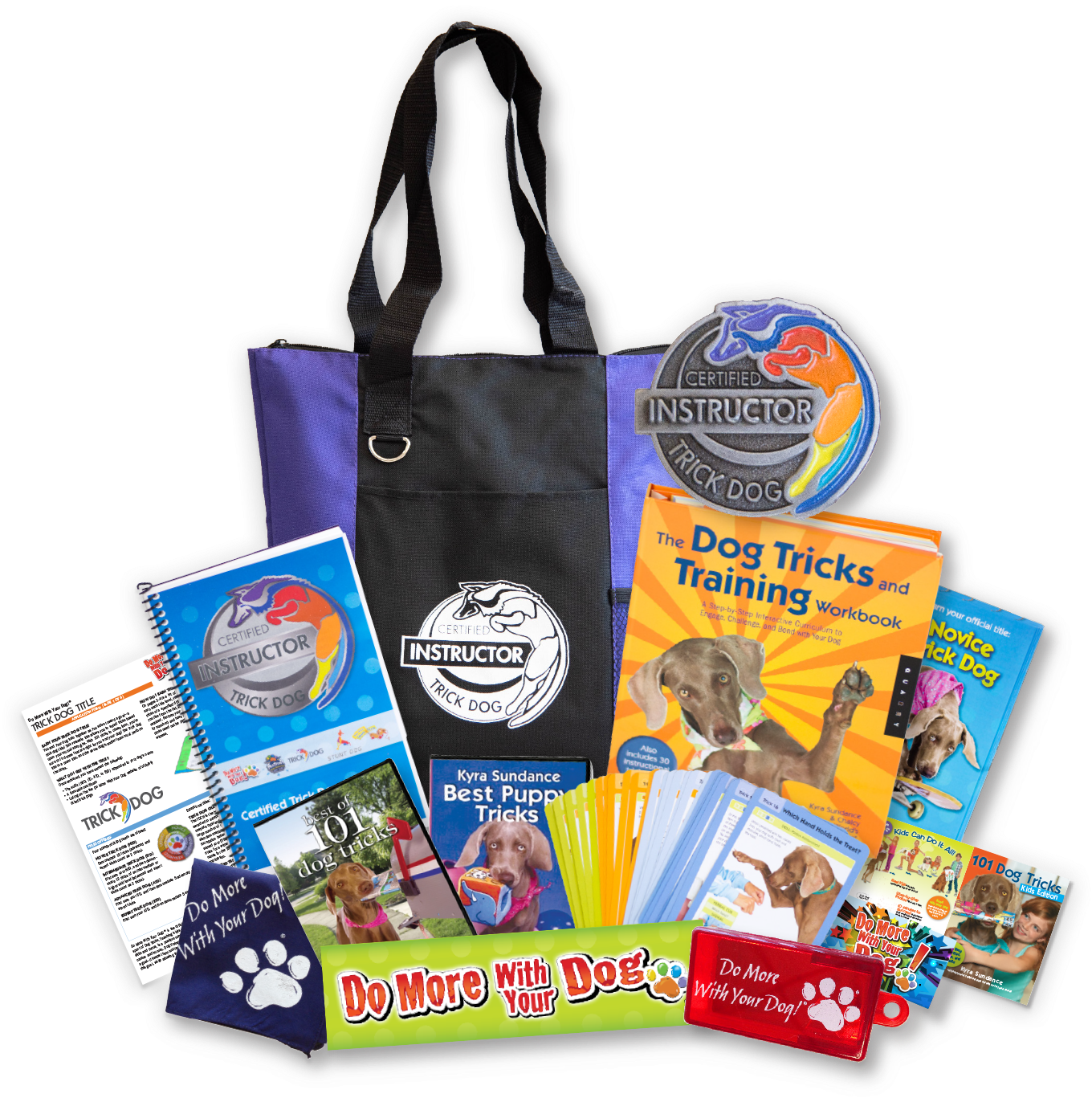 Ctdi Kit - Dog Tricks And Training Workbook: A Step-by-step Interactive (1400x1400), Png Download