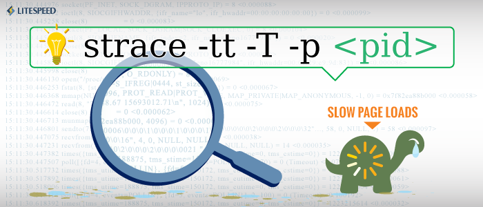 Diagnosing Performance Issues - Blog (700x300), Png Download