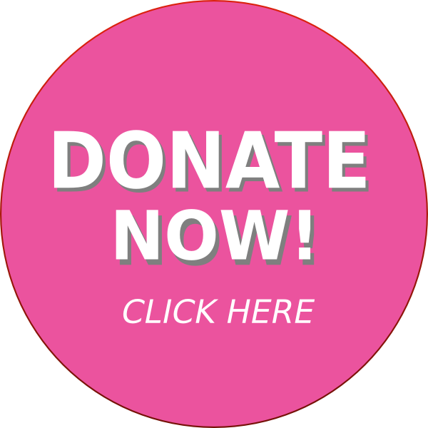 Donate Now Button (600x600), Png Download