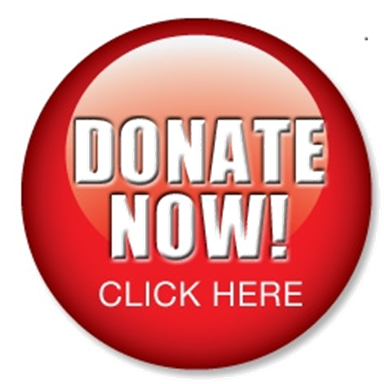 Donate Button Red (390x391), Png Download