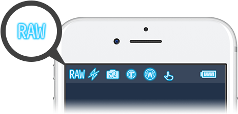 Raw/jpeg Button - Silkypix Developer Studio (600x230), Png Download