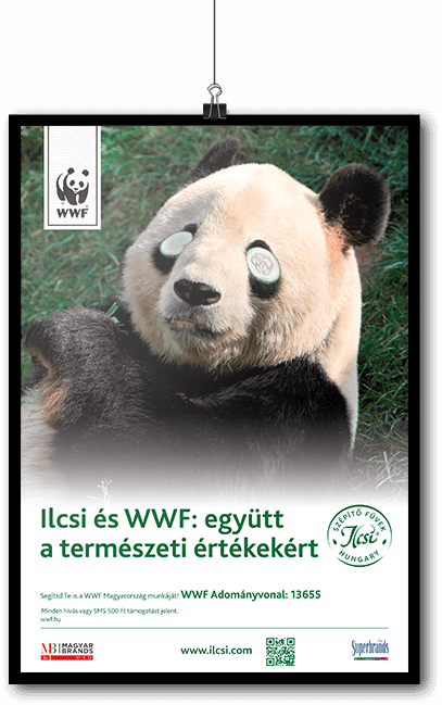 Ilcsi - Wwf (407x649), Png Download