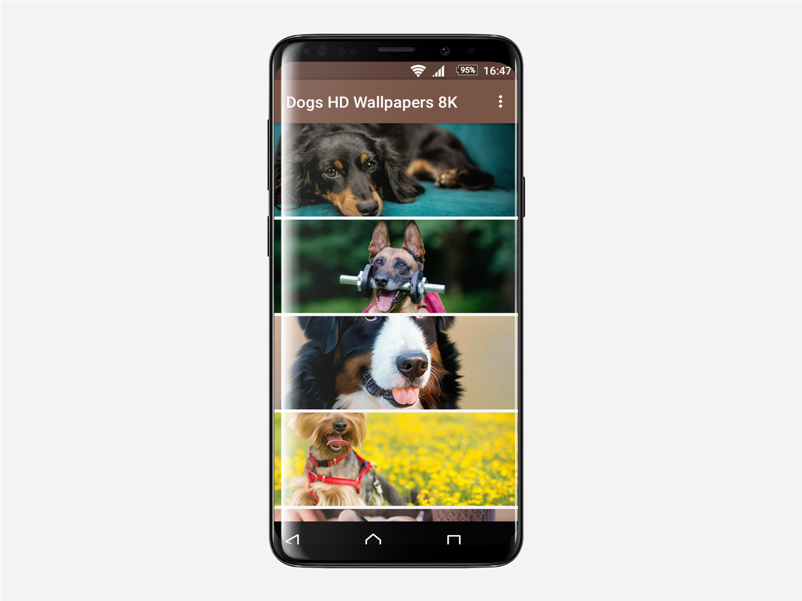 Coque Super Malinois Compatible Huawei Mate 8 Transparent (1920x1200), Png Download