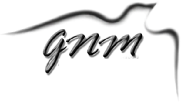 Name Of Designar - Gnm (600x346), Png Download