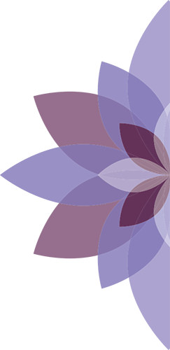 Lotus3-a - Floral Design (243x500), Png Download