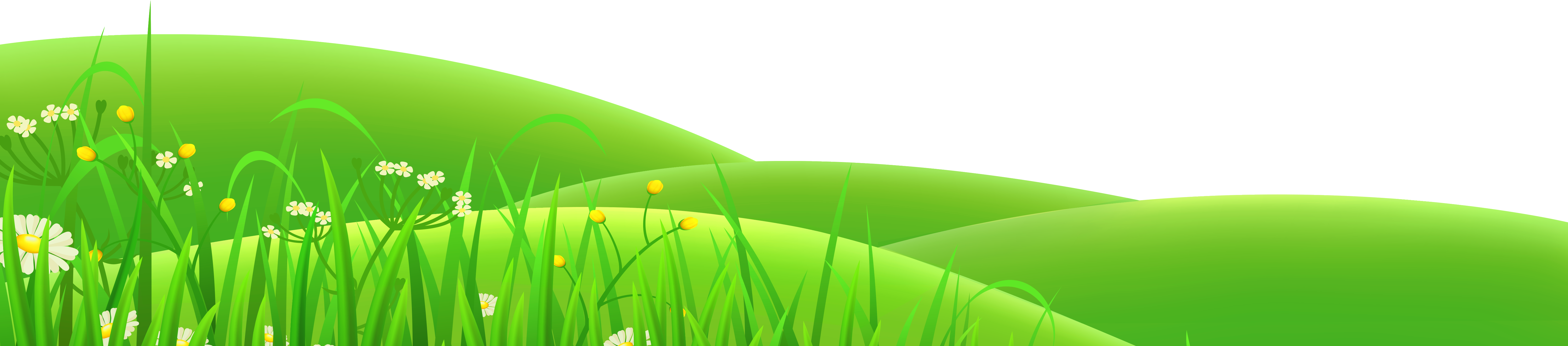 Clip Art (6000x1324), Png Download
