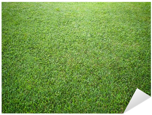 Lawn (400x400), Png Download