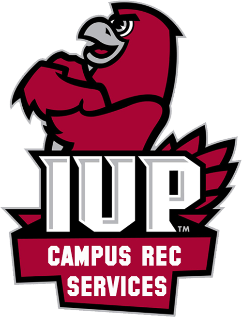 Fitness Clipart Intramurals - Indiana University Of Pennsylvania (500x653), Png Download