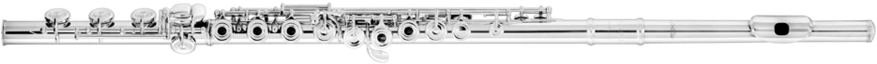 We Carry These Student Models With Most Of Our Brands - Flute (900x337), Png Download