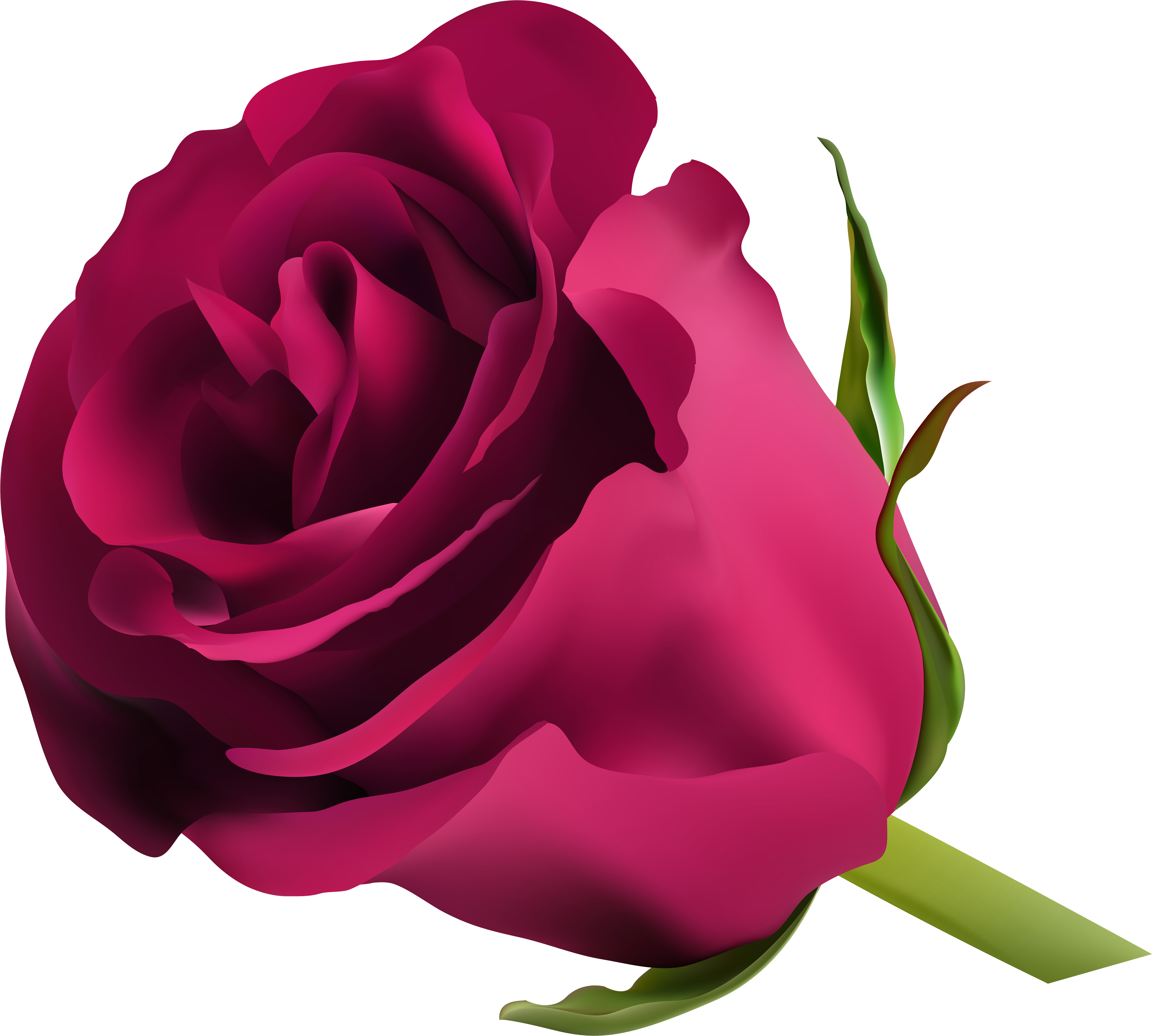 Pink Rose Png Clip Art (8000x7167), Png Download