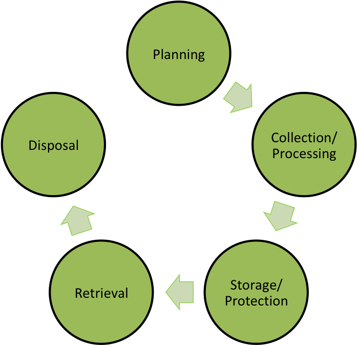The Unsw Biorepository Has The Knowledge And Infrastructure - Ab Testing Process Cycle (713x671), Png Download