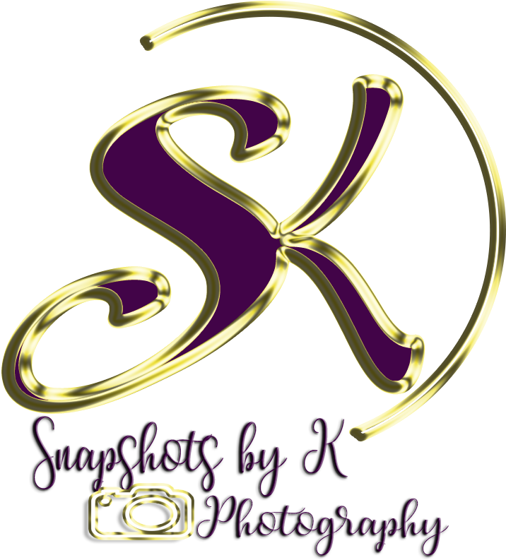 Portrait Clipart Wedding Photographer - Portrait Photography (900x900), Png Download
