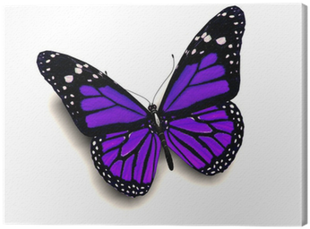 Download Purple 3d Butterfly Tattoo Designs PNG Image with No Background -  
