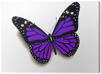 Purple 3d Butterfly Tattoo Designs (400x400), Png Download