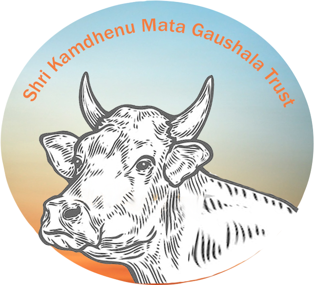 Shri Kamdhenu Mata Gaushala Trust - Cow Engraving Vector (646x583), Png Download