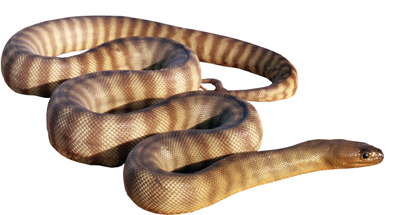 Liked Like Share - Abound: How To Be Effective & Fruitful In M (846x460), Png Download