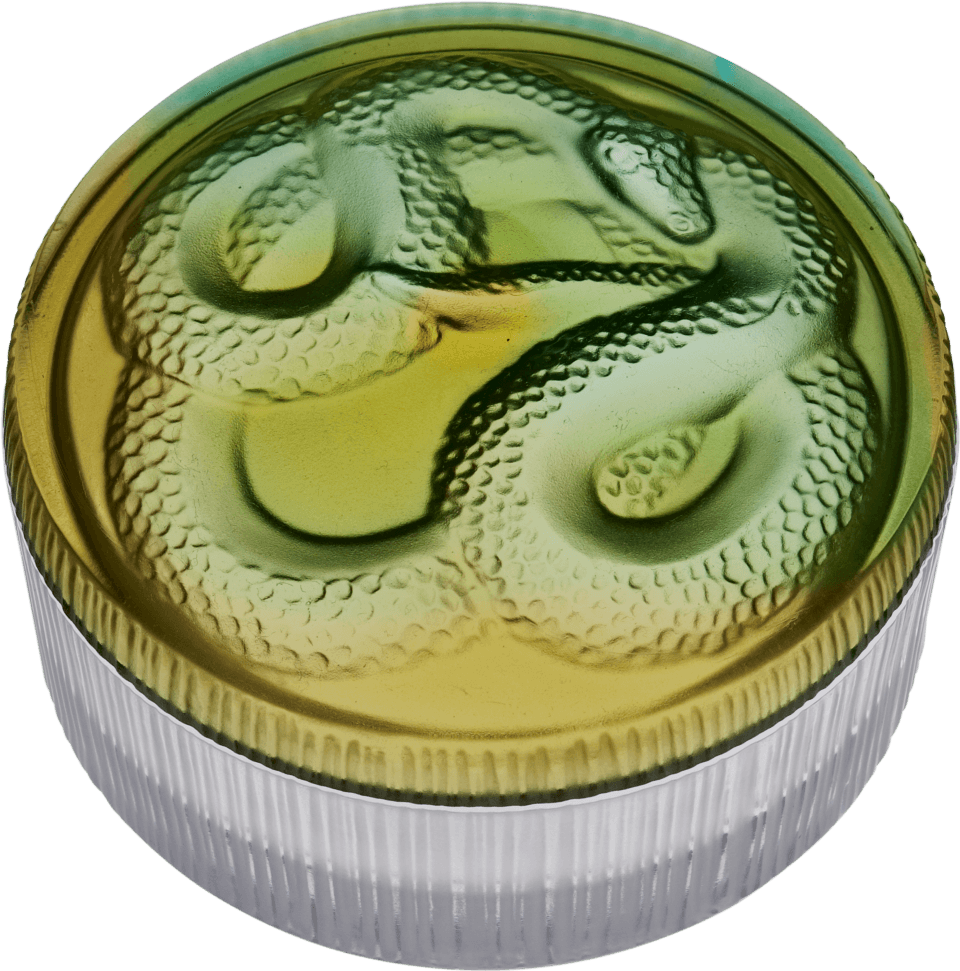 00 Green Snake Box - Snake Box By Daum (960x971), Png Download