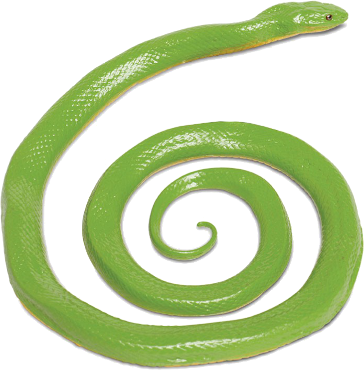 Buy Action Figure Safari Rough Green Snake 257729 Elkor - Safari Limited Incredible Creatures Rough Green Snake (800x800), Png Download