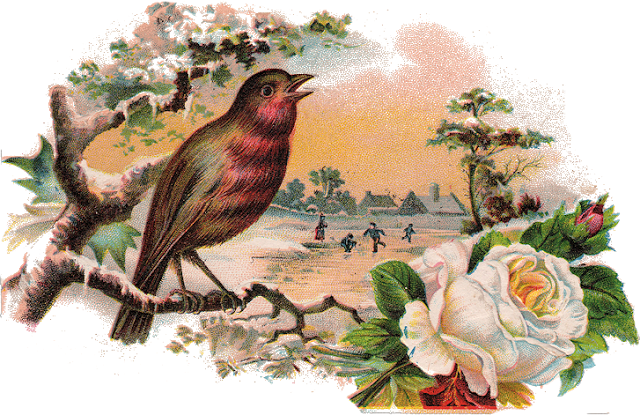 1abirdcard001 - White Rose And Bird Love Story (640x415), Png Download