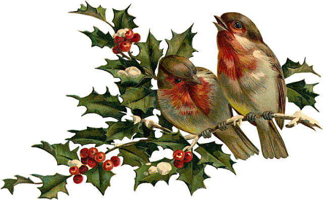 A Feedback Would Be Very Nice - Vintage French Christmas Bir Note Cards (pk (640x396), Png Download