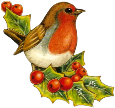 Tube De Noel - Oiseau De Noel (401x388), Png Download