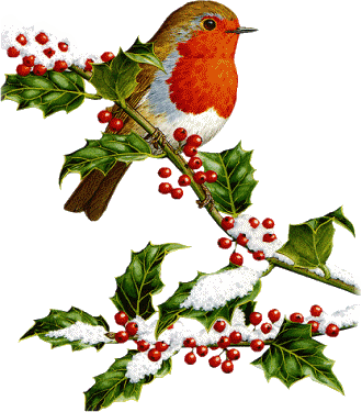 A Feedback Would Be Very Nice - Vintage Christmas Bird Clip Art (330x375), Png Download