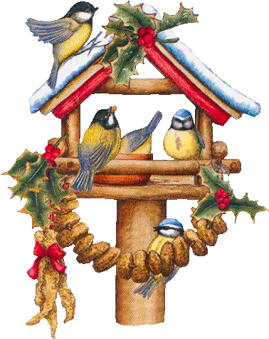 Tubes Noel / Oiseaux - Clip Art (416x531), Png Download