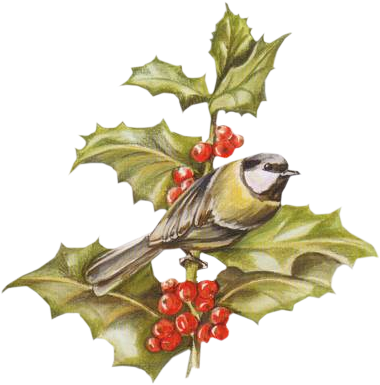 Oiseaux Noel - Christmas Day (412x409), Png Download