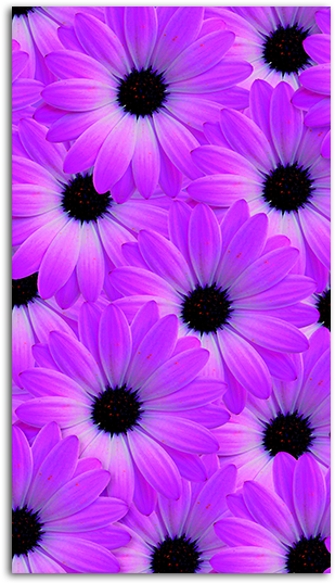 Flower Vision Wallpaper For Mobile Big - Flower And Smal Heart Hd Png (485x550), Png Download