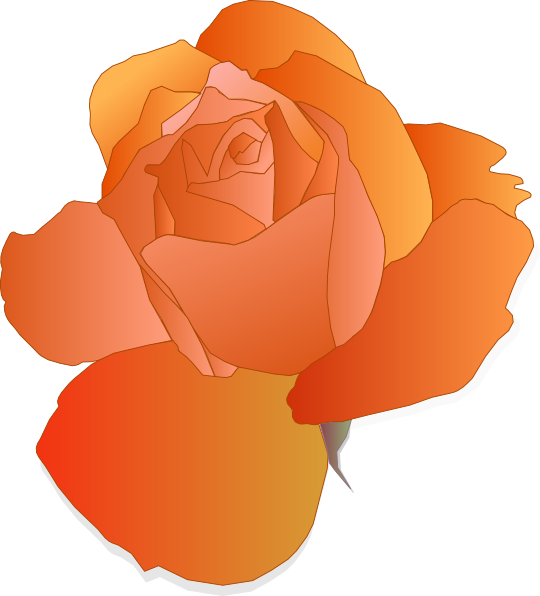 How To Set Use Orange Rose Icon Png - Orange Rose Clipart (540x596), Png Download