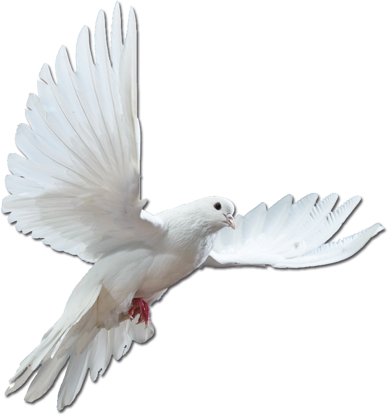 Artistes - > - Psychic School - How To Become A Psychic Medium (800x872), Png Download