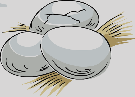 Clip Art (576x415), Png Download
