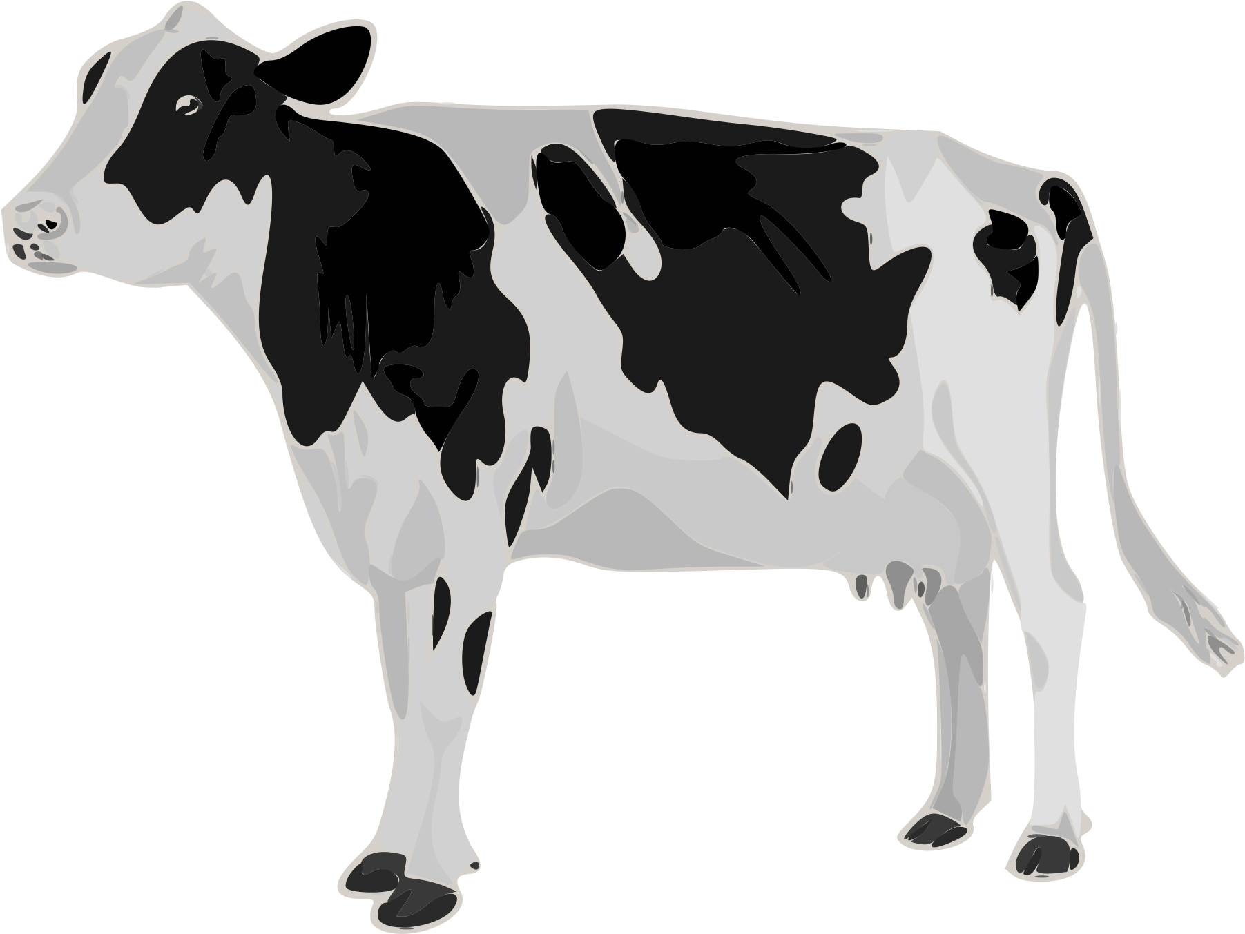 Open - Genetic Study Of Lactation Curve In A Herd Of Holstein (2000x2000), Png Download