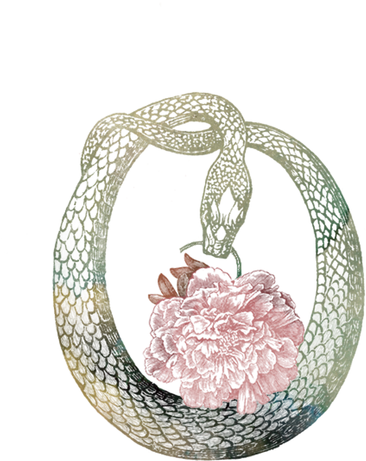 Tramp Web Icon Transparent - Flora Botanical Tissue - Gift Wrap (900x900), Png Download