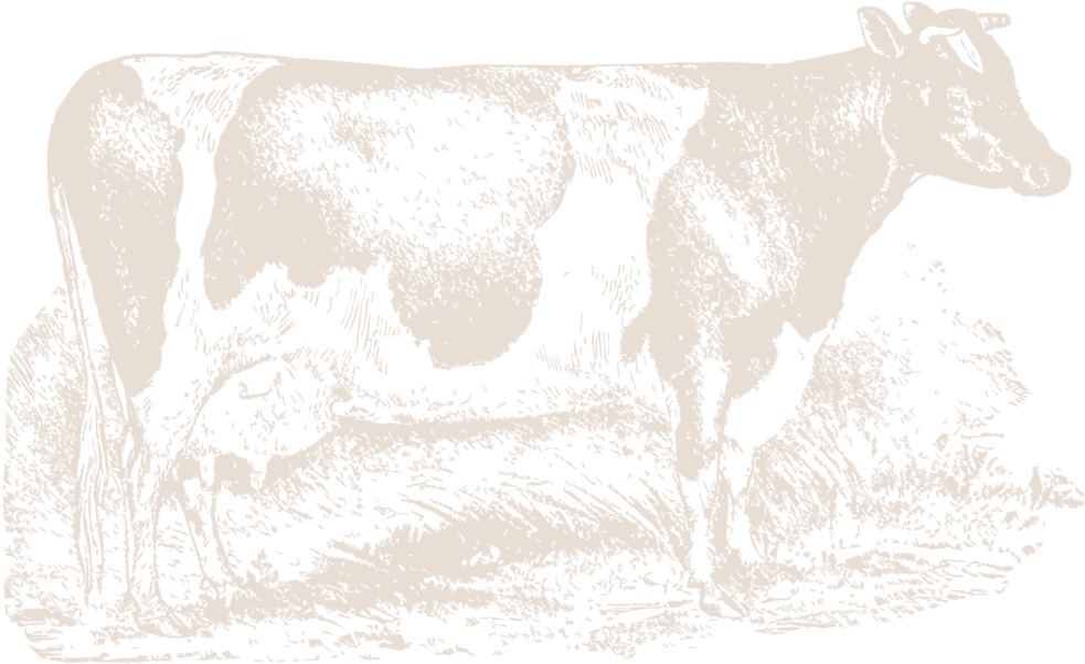 Farmingpagecow-19 - Dairy Cow (1000x627), Png Download