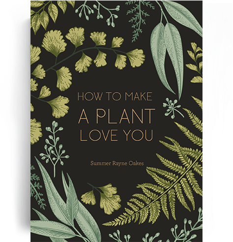 How To Make A Plant Love You - Chariot On The Mountain; Hardcover; Author - Jack Ford (500x500), Png Download