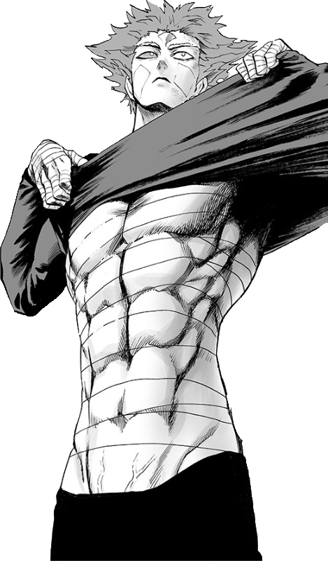 Garou New Shirt - Manga Cap One Punch Man (469x804), Png Download