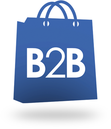 B2b E-commerce - B2b E Commerce Icon (400x449), Png Download