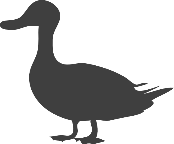 How To Set Use Grey Duck Clipart - Duck Silhouette (600x498), Png Download