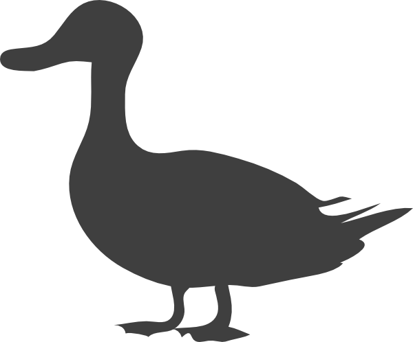 Download How To Set Use Grey Duck Clipart Duck Silhouette Png Image With No Background Pngkey Com