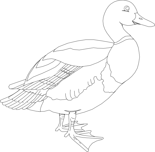 Clip Art (600x588), Png Download