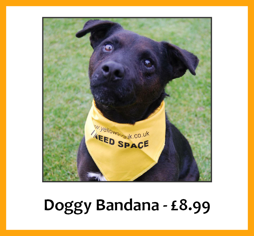 Dog Bandana - Bandana On Dog Meaning (860x799), Png Download